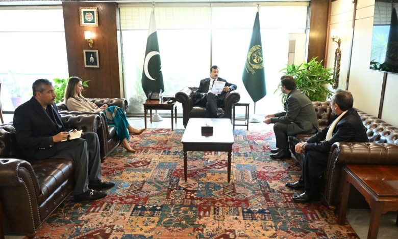 child welfare - Driving Child Welfare Partnerships in Pakistan