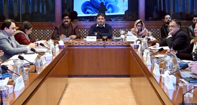 virtual assets bill - Senate Panel Advances Virtual Assets Bill Review