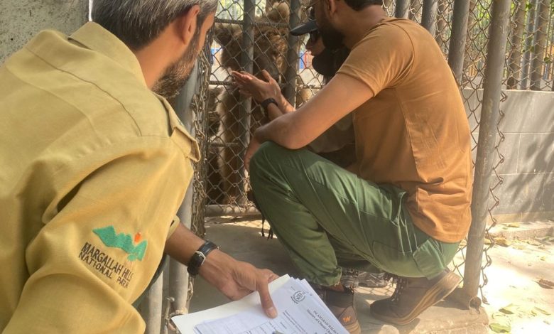 rano rescue - Rano Rescue Advances in Karachi
