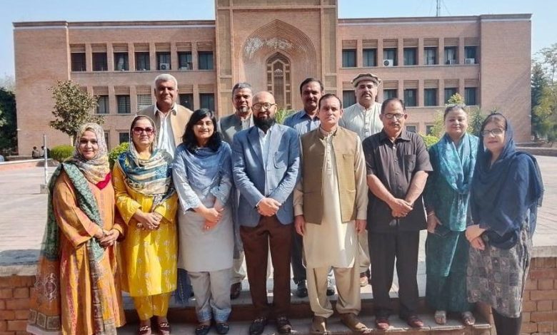 postdoctoral fellowship - Advancing Postdoctoral Fellowship at IIUI
