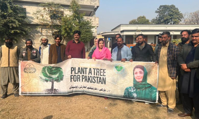 tree plantation - Rawalpindi Drives Tree Plantation at Millia School