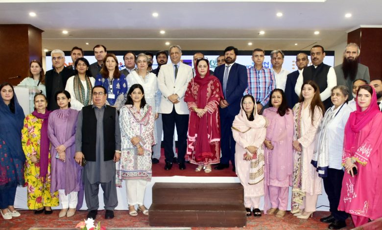 gender parity framework - Driving Pakistan's Gender Parity Framework Forward