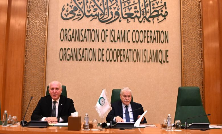 solidarity with palestine - OIC Marks Solidarity with Palestine in Jeddah