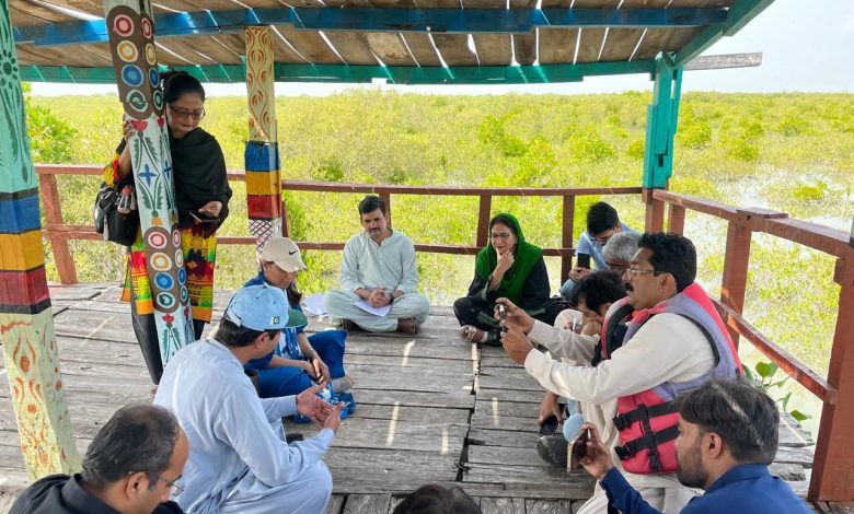 carbon markets - Strengthening Carbon Markets Reporting in Pakistan