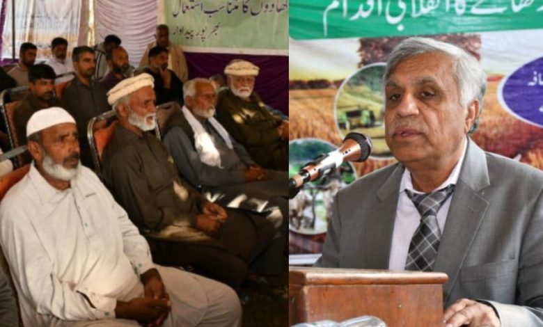 wheat campaign - Driving Wheat Campaign Momentum in Punjab