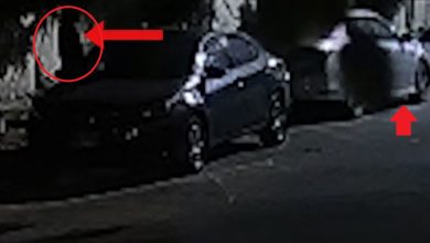 Tech-Savvy Car Thieves Outsmart Security Systems in Karachi