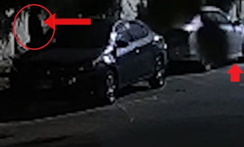 Tech-Savvy Car Thieves Outsmart Security Systems in Karachi