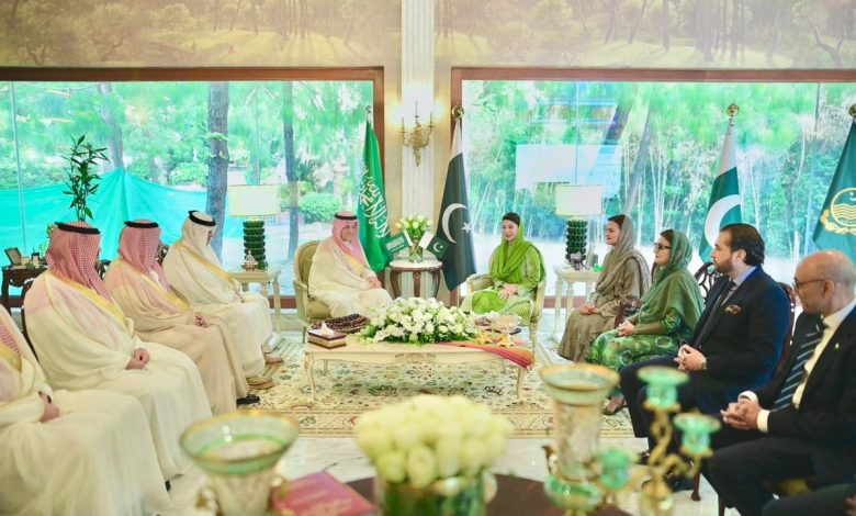 punjab investment - Driving Punjab Investment with Saudi Partners